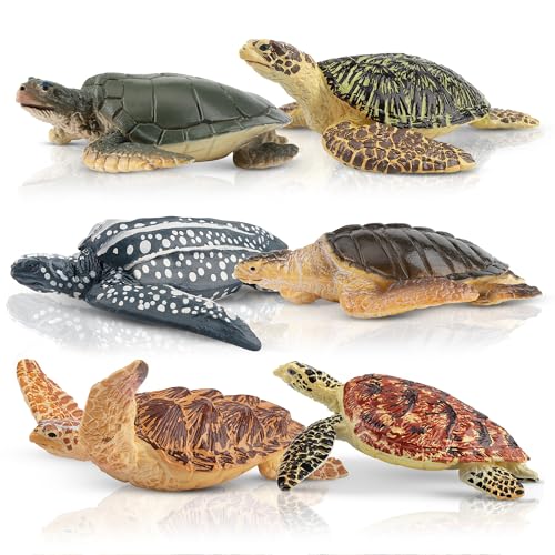 TOYMANY 6 Stück Schildkröten Figurines Realistische Schildkröte Tiere-Figuren Set Ocean Spielfiguren Spielzeug MeeresTierfiguren realistisch, Schildkröte Spielzeug für Kinder,zum spielen oder als Deko von TOYMANY