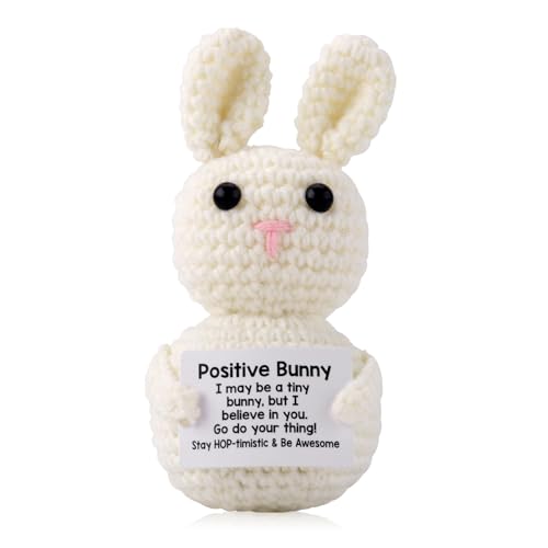 TOYMIS Positive Hase mit Positiver Energiekarte, Häkelhase Viel Glück Geschenke Kuscheltier Hase Motivationsgeschenke Positives Kaninchen Emotionale Unterstützung Tier für Freundin Frauen von TOYMIS