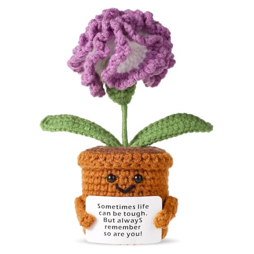 TOYMIS Positive Nelke, Gehäkelte Nelke Positive Blume Gehäkelt Positive Plant Häkel Topfblume Emotionale Unterstützung Häkeln für Heimdekoration Inspirierendes Geschenk(Lila) von TOYMIS