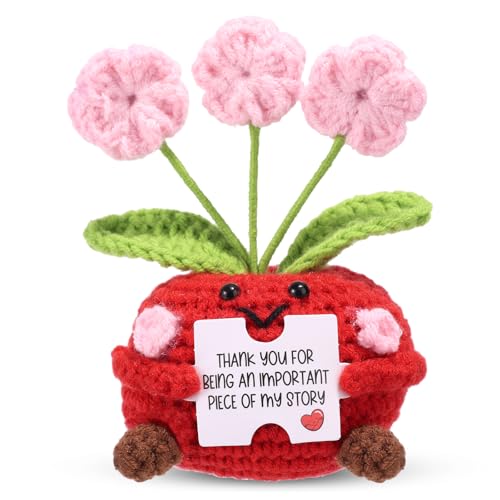 TOYMIS Süßes Dankeschön Geschenke, Handgefertigt Positiver Apfel mit Grußkarte Mini Häkelpuppe Positive Blumen Herzliche Dankesgeschenke für Lehrerinnen Freundinnen TOYMIS Süßes Dankeschön Geschenke, Handgefertigt Positiver Apfel mit Grußkarte Mini Häkelpuppe Positive Blumen Herzliche Dankesgeschenke für Lehrerinnen Freundinnen von TOYMIS