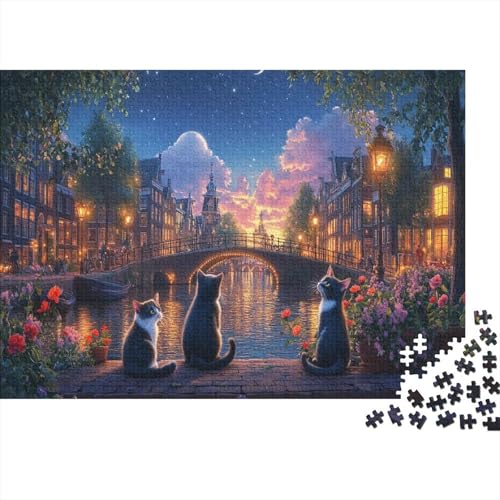 Amsterdamer Kanal Puzzleteile 1000-Stücke Bildungsspiele schöne Nachtansicht Das Unmögliche Puzzle Und Kinder Ab 14 Jahren Geschicklichkeitsspiel Geschenk 1000pcs (75x50cm) von TQMDEHVUP