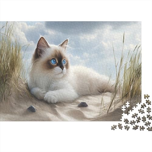 Ragdoll Katze Puzzleteile 1000-Stücke Bildungsspiele Haustier Kat Für Puzzles Geeignet Für Die Ganze Familie Puzzle Für Erwachsene Geschenk 1000pcs (75x50cm) von TQMDEHVUP