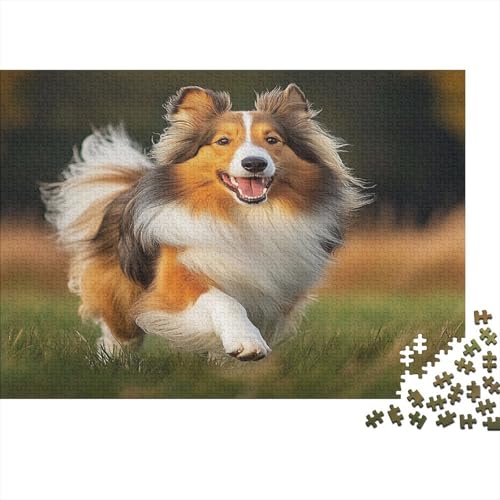 Shetland SchafeHund Puzzlespiel 1000 Teile Erwachsene -Puzzle 1000 Stück Spiel Puzzles Für Erwachsene Kinder Puzzle Erwachsenen Puzzlespiel Puzzel 1000pcs (75x50cm) von TQMDEHVUP