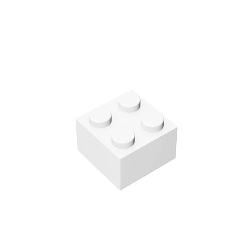 Classic Building Brick 2x2, 100 Piece Bulk Brick Block, White 2x2 Bricks, Compatible with Lego Parts and Pieces 3003(Colour: White) von TTEHGB TOY