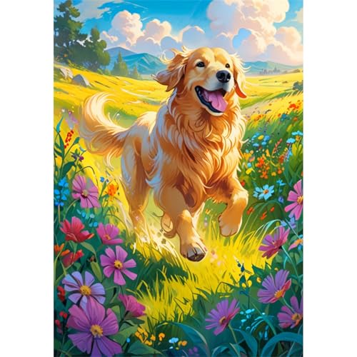 TWYYDP 520 Teile Puzzle für Erwachsene,Golden Retriever Hund Läuft Auf Dem Gras,Holzpuzzle,Lustige Spiele für Die Ganze Familie von TWYYDP