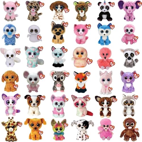 Ty - Sortiment 5 Beanie Boo's Plüschtiere 15 cm - Die weichen Puppen mit großen glitzernden Glitzeraugen - Zufällige Auswahl - Keine Doppel von TY