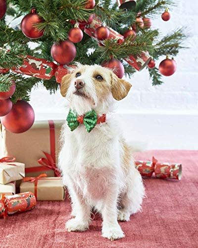 Talking Tables Christmas Gifts for Dogs Dress Up Bow Tie | Red Green von Talking Tables