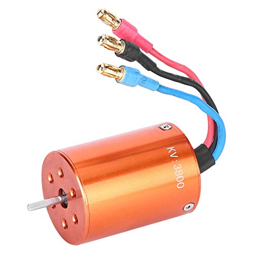 Tbest RC-Motor, 3800 KV, Schnellere Geschwindigkeit, Hohe Leistung, Einfach zu Installierender RC-Motor, Metallmotor 2838, Passend für 1/12 1/14 RC-Auto von Tbest