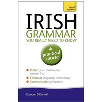 Irish Grammar You Really Need to Know: Teach Yourself von Hodder & Stoughton