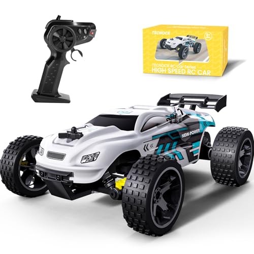 Tecnock Ferngesteuertes Auto für Kinder, 1:18 High Speed 20 KM/H RC Auto 2WD RC Buggy, 2.4GHz Off Road Rennauto mit wiederaufladbaren Batterien, Spielzeug Geschenk für Jungen und Mädchen von Tecnock