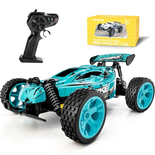 Tecnock Ferngesteuertes Auto für Kinder, 1:18 High Speed 20 KM/H RC Auto 2WD RC Buggy, 2.4GHz Off Road Rennauto mit wiederaufladbaren Batterien, Spielzeug Geschenk für Jungen und Mädchen von Tecnock