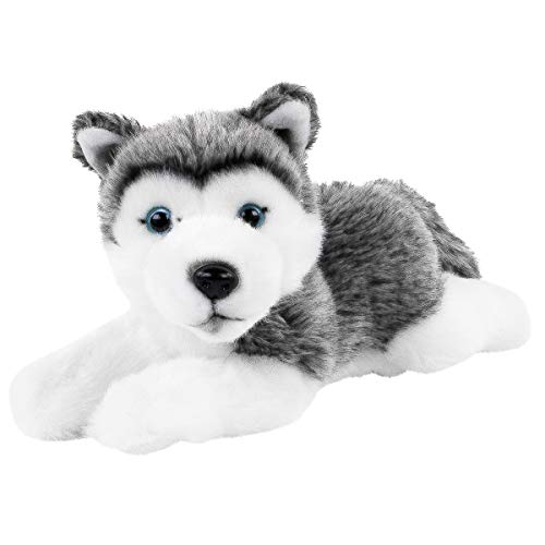 Teddys Rothenburg Husky, 25cm Kuscheltier Schmusetier Plüschtier von Teddys Rothenburg