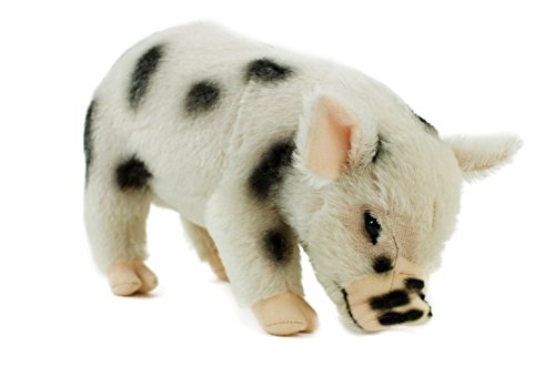 Teddys Rothenburg Kösen, Microschwein, 30 cm, stehend, weiß/schwarz gefleckt, Stoffschwein von Teddys Rothenburg