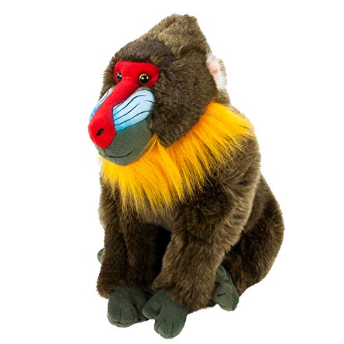 Teddys Rothenburg Kuscheltier AFFE Mandrill/Pavian 33 cm Stoffaffe Plüschaffe von Teddys Rothenburg