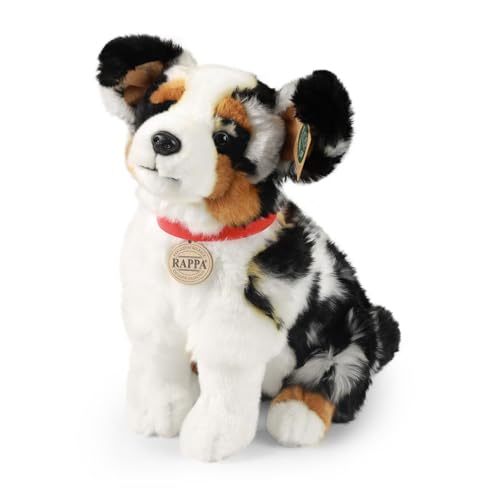 Teddys Rothenburg Kuscheltier Australian Shepherd sitzend schwarz-weiß-braun 30 cm mit Halsband Plüschhund Plüschtier von Teddys Rothenburg