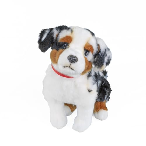 Teddys Rothenburg Kuscheltier Australian Shepherd sitzend schwarz-weiß-braun 30 cm mit Halsband Plüschhund Plüschtier von Teddys Rothenburg