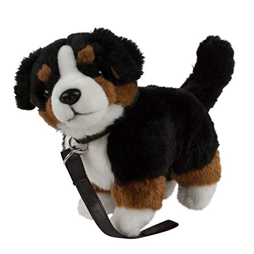 Teddys Rothenburg Kuscheltier Berner Sennenhund mit Leine 23 cm braun/schwarz/weiß stehend Plüschhund by Uni-Toys von Teddys Rothenburg