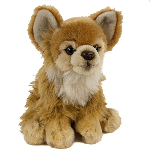 Teddys Rothenburg Kuscheltier Chihuahua 17 cm sitzend braun Plüschchihuahua Plüschhund by Uni-Toys von Teddys Rothenburg