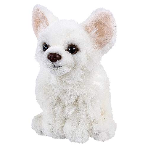 Teddys Rothenburg Kuscheltier Chihuahua 17 cm sitzend weiß Plüschchihuahua Plüschhund by Uni-Toys von Teddys Rothenburg