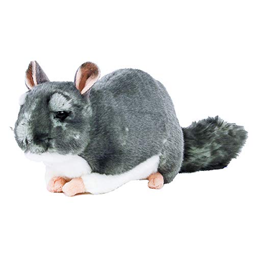 Teddys Rothenburg Kuscheltier Chinchilla grau 28 cm Plüschchinchilla Uni-Toys Teddys Rothenburg Kuscheltier Chinchilla grau 28 cm Plüschchinchilla Uni-Toys von Teddys Rothenburg