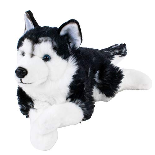 Teddys Rothenburg Kuscheltier Husky 38 cm Plüschtier Hund Stofftier Plüschhusky dunkel Kuschelhusky Stoffhusky schwarz Uni-Toys von Teddys Rothenburg