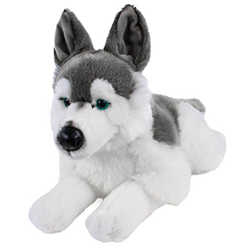 Teddys Rothenburg Kuscheltier Husky Skalli liegend grau/weiß 44 cm Plüschhusky Schlittenhund Uni-Toys von Teddys Rothenburg