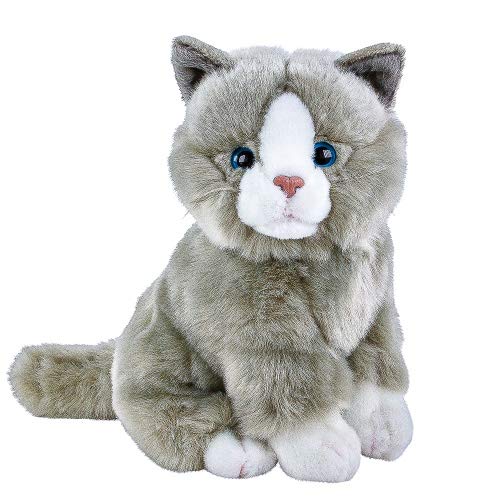 Teddys Rothenburg Kuscheltier Katze Lilly sitzend grau weiß 30 cm Stoffkatze Plüschtier by Uni-Toys Teddys Rothenburg Kuscheltier Katze Lilly sitzend grau weiß 30 cm Stoffkatze Plüschtier by Uni-Toys von Teddys Rothenburg