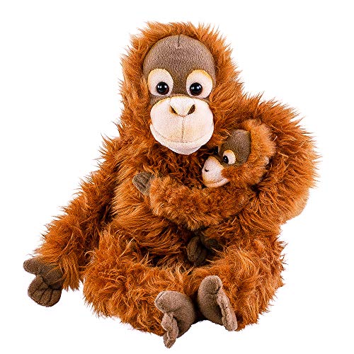 Teddys Rothenburg Kuscheltier Orang Utan AFFE mit Baby 28 cm sitzend Plüschtier by Uni-Toys von Teddys Rothenburg