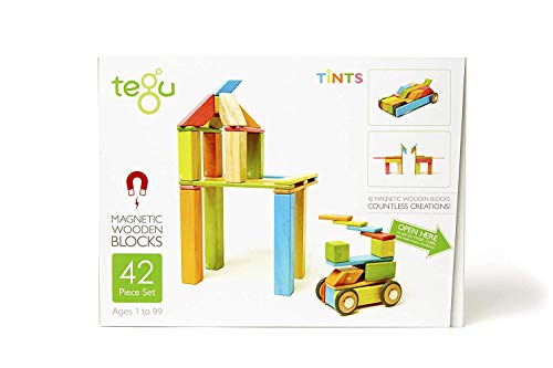 TEGU 42P-TNT-306T Holzset Farbig, Teile 5700370 Holzbausteine magnetisch, Holzspielzeug für Kinder ab 12 Monate, Mehrfarbig, 42 Piece von Tegu