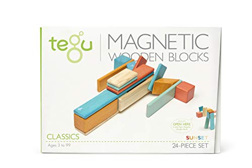 TEGU 5700389 Holzbausteine magnetisch, 24-teiliges Set, Orange-Blau, Holzspielzeug für Kinder ab 12 Monaten von Tegu