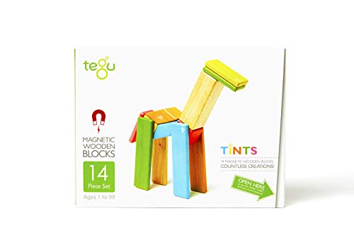 TEGU 14P-TNT-306T Holzset Farbig, 14 Teile 5701364 Holzbausteine magnetisch, Holzspiele-Set, bunt, Holzspielzeug für Kinder ab 12 Monaten, Tints, c1 von Tegu