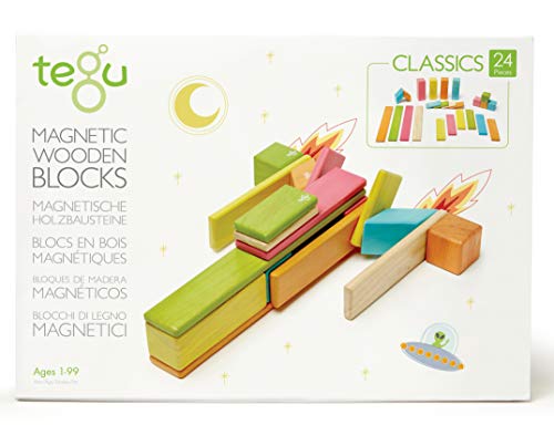 Tegu 5700367 Magnetische Holzbausteine, Holzset mehrfarbig, Holzspielzeug für Kinder ab 12 Monaten, 24-teilig von Tegu