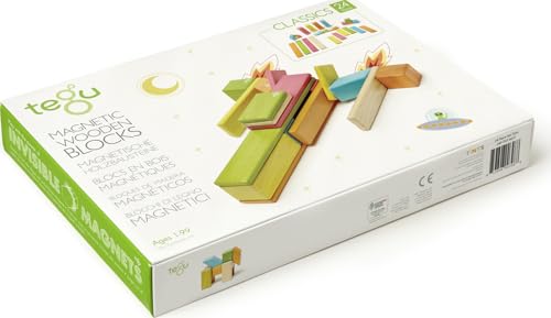 Tegu 5700367 Magnetische Holzbausteine, Holzset mehrfarbig, Holzspielzeug für Kinder ab 12 Monaten, 24-teilig von Tegu