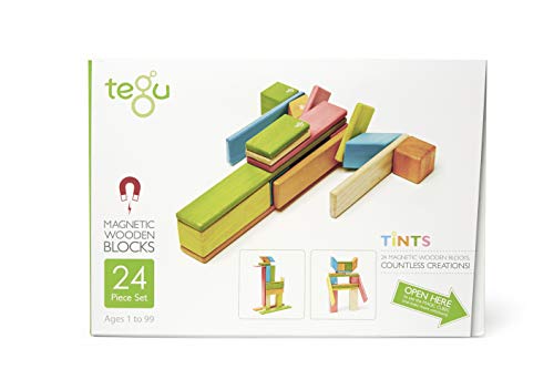 Tegu 5700367 Magnetische Holzbausteine, Holzset mehrfarbig, Holzspielzeug für Kinder ab 12 Monaten, 24-teilig von Tegu