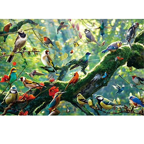 Tektalk 1000 Teile Puzzle, Holzpuzzle, Puzzles für Erwachsene, 1000 Teile Puzzle für Jugendliche & Erwachsene - Jungle Birds von Tektalk