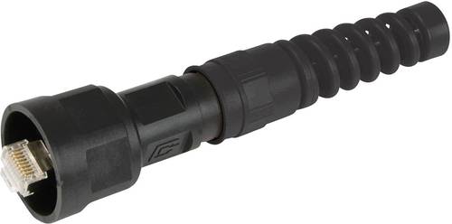 STX V1 RJ45-Steckerset Kunststoff Variante 1 Stecker, gerade Pole: 8P8C J80026A0010 von Telegärtner