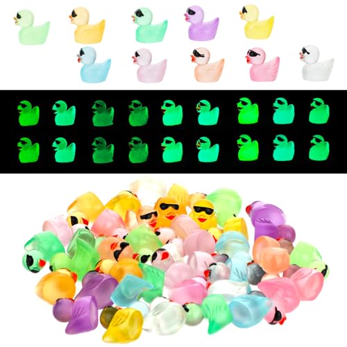 50 Stück Mini Enten mit Sonnenbrille Leuchtende Harz Ente Landschafts Dekoration Mini Figuren Miniatur Enten Plastikenten Klein Enten für DIY Puppenhaus Gartendekoration (10 Farben) von Telooco