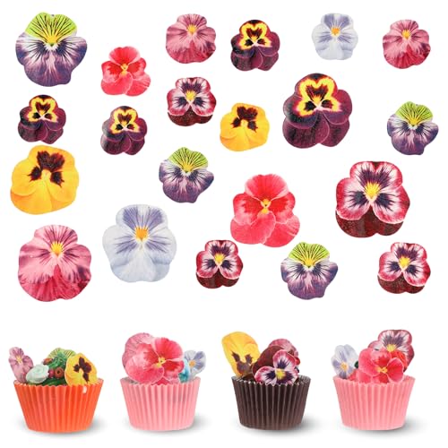 60 Stück Tortendeko Blumen Happy Birthday Cupcake Topper Kuchendekoration Geburtstag Kuchenblumen Stiefmütterchenblumen Cupcake Deko für Hochzeit Geburtstag Babyparty Zuckerblumen von Telooco