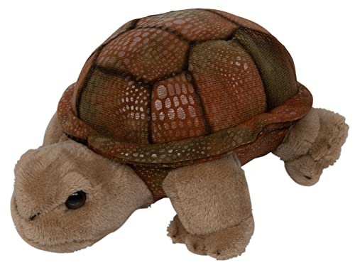 Teopet Schildkröte-Kuscheltier EMMA 18 cm groß – Flauschige Plüsch Landschildkröte – sehr weich - Realistisches Plüschtier aus nachhaltigen Materialien – Stofftier Geschenk für Babys, Kinder von Teopet