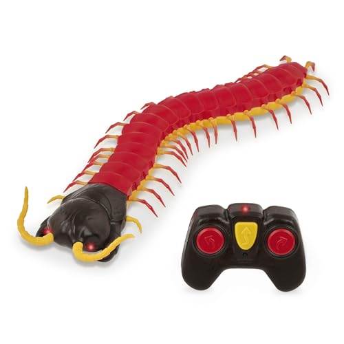 Terra by Battat – Remote Control Toy – RC Centipede – LED Eyes & Remote – Batteries Included – 6 Years + – Giant Scolopendra Terra by Battat – Remote Control Toy – RC Centipede – LED Eyes & Remote – Batteries Included – 6 Years + – Giant Scolopendra von Terra by Battat