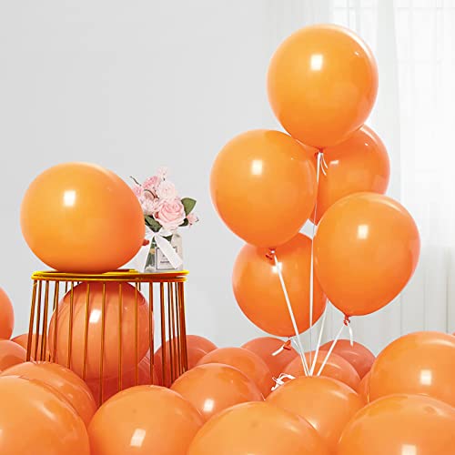 Orangefarbene Luftballons, 20 Stück, 12 Zoll Latex-Luftballons für Babyparty, Hochzeit, Bachelorette, Brautparty, Mandarinen-Thema Clementine, Obst, Geburtstagsfeier-Dekorationen von Teselife