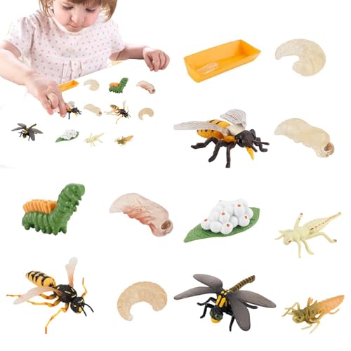 Insektenfiguren Lebenszyklus der Honigbiene | 12 Stück Marienkäfer-Libelle, Insektenfiguren-Spielzeug-Kit | Früherziehung, Wachstumsstadium, Modell, Biologie, Wissenschaft, Spielzeug, Schulprojekt für von Tewzafiya