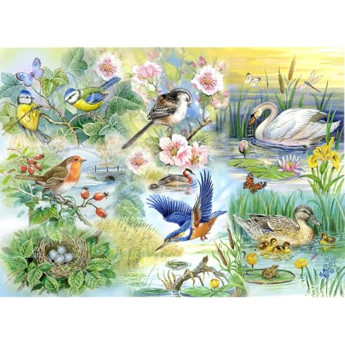 ‚Big 250’ Puzzle - Gefiederte Freunde - Vogelschutz-und Enten (Feathered Friends - Wild Birds & Ducks) von The House of Puzzles