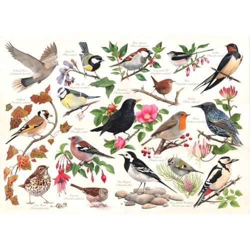The House Of Puzzles Puzzle 1000 Teile - Birds In My Garden The House Of Puzzles Puzzle 1000 Teile - Birds In My Garden von The House of Puzzles
