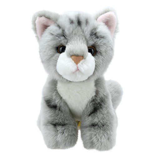 Wilberry WB005005 Mini Katze Plüschtier, Grau von Wilberry