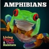 Amphibians von The Secret Book Company