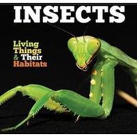 Insects von The Secret Book Company