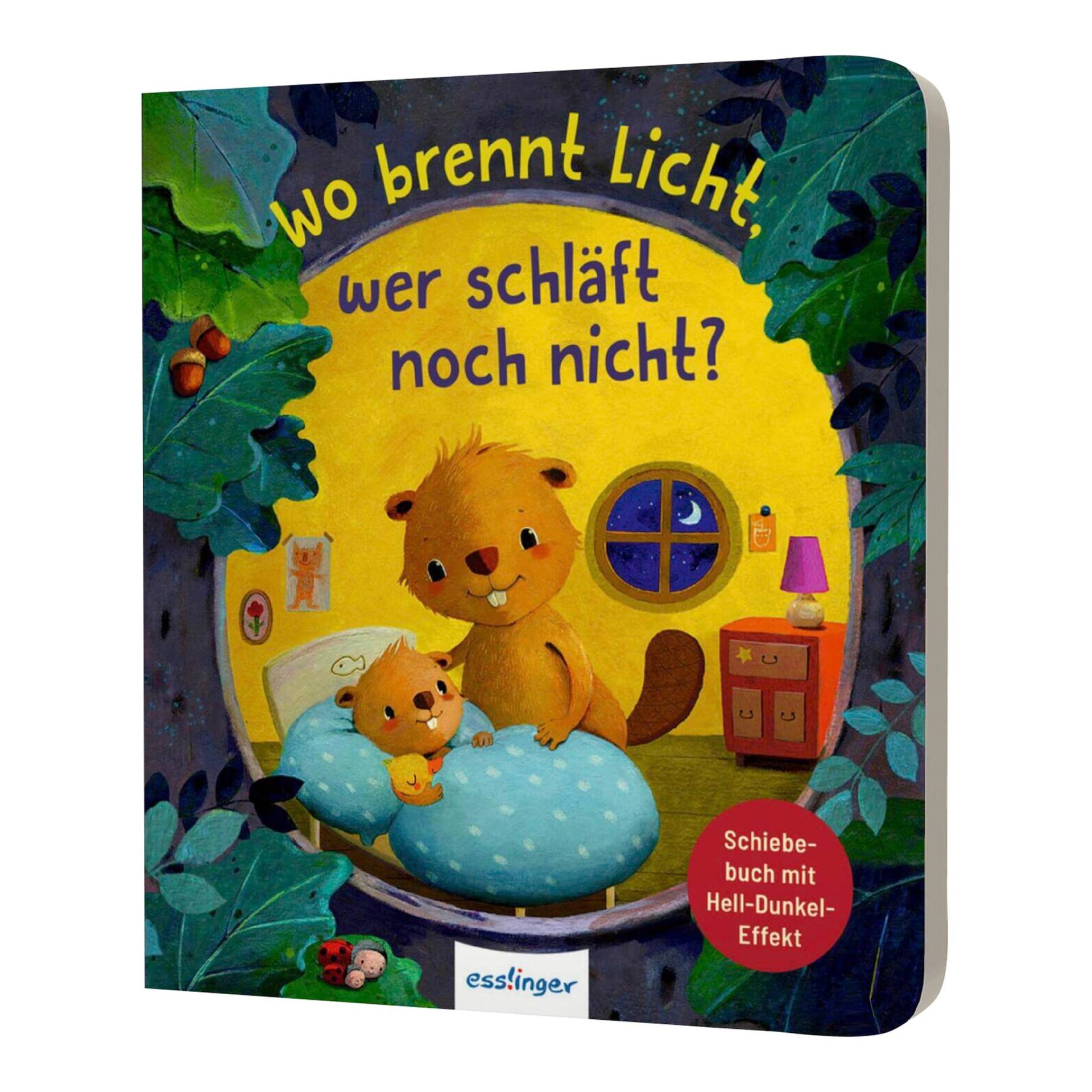 Thienemann-Esslinger Schiebebuch Wo brennt noch Licht, wer schläft noch nicht? von Thienemann-Esslinger