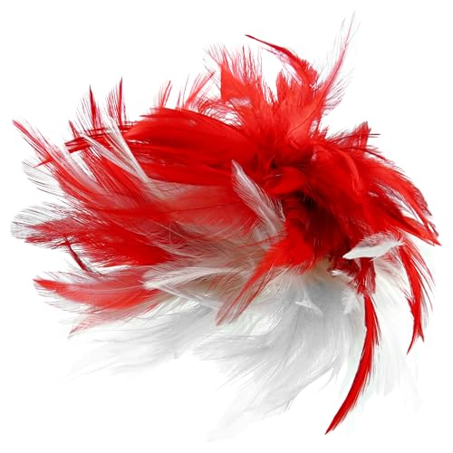 Think Jeck! Haarclip mit Federn | Haarschmuck Karneval Kostüm | Fasching Haarspange (Rot) von Think Jeck!