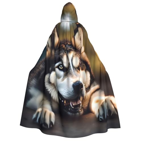 Kapuzenumhang mit niedlichem Husky-Aufdruck für Erwachsene, Halloween, Weihnachten, Party, Cosplay von TietYaer